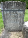 image of grave number 173271